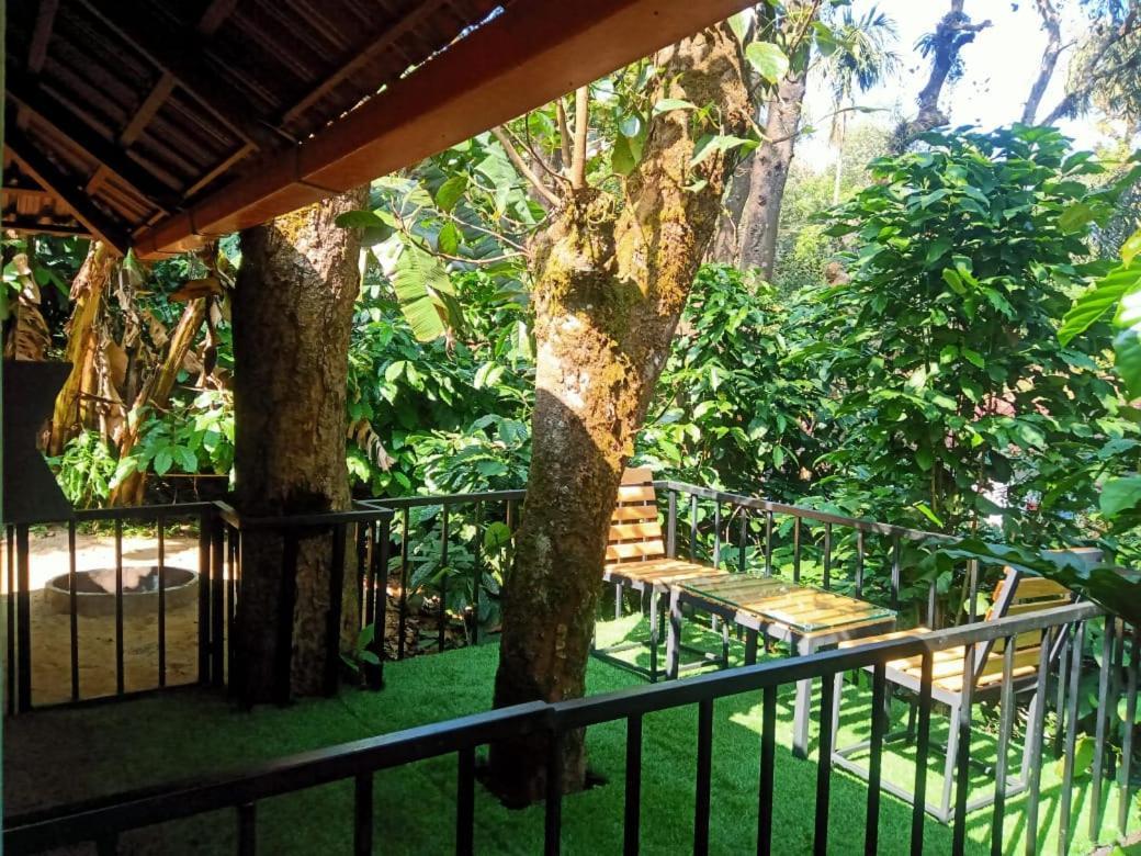 Misty Rain Estate Hotel Madikeri Exterior photo