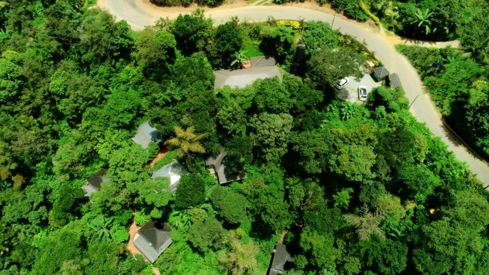 Misty Rain Estate Hotel Madikeri Exterior photo