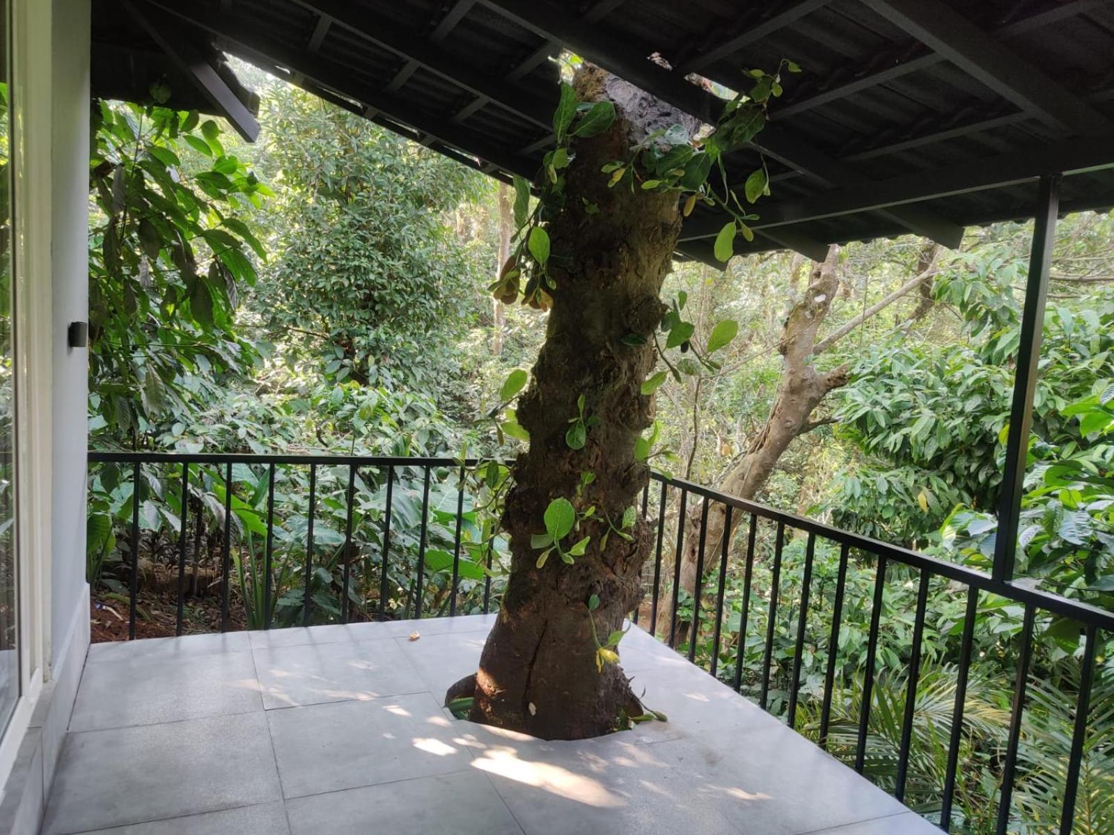 Misty Rain Estate Hotel Madikeri Exterior photo