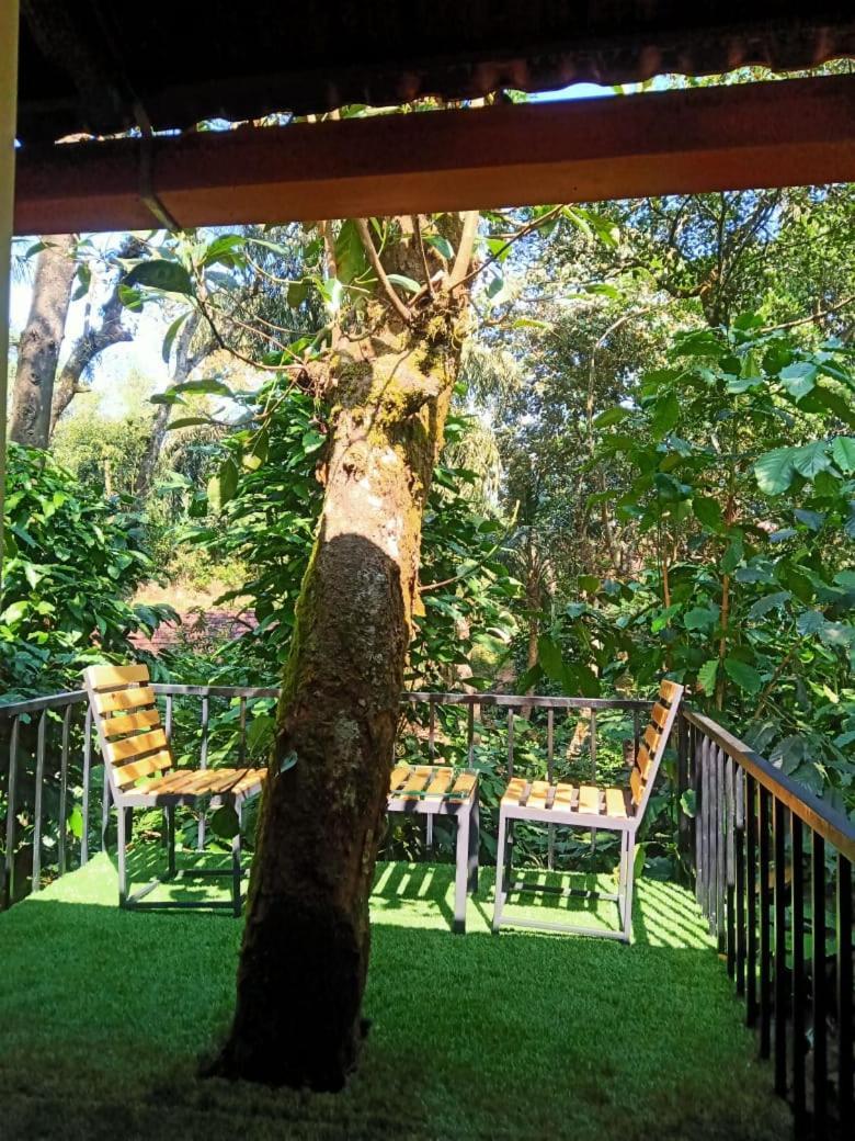Misty Rain Estate Hotel Madikeri Exterior photo