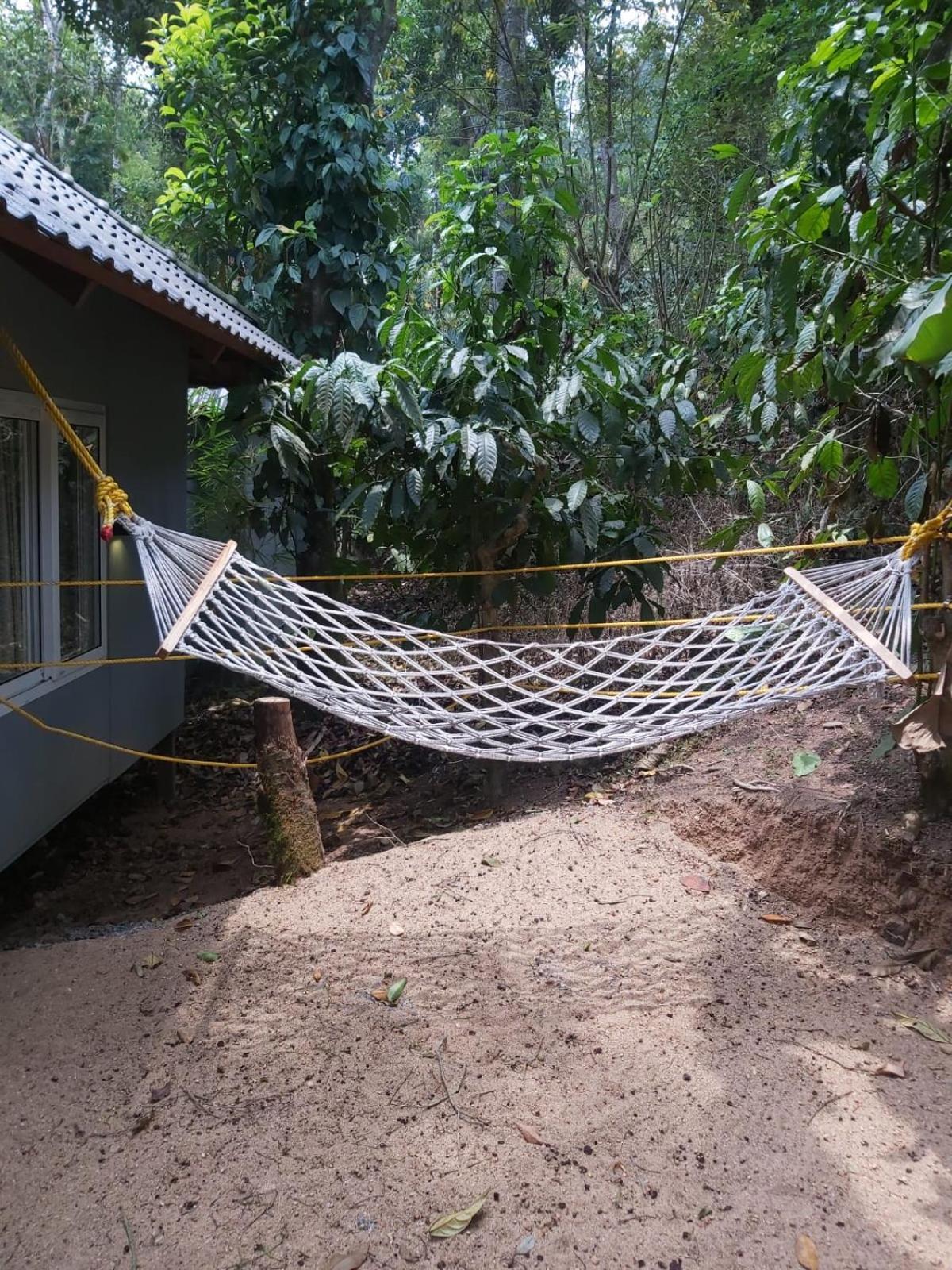 Misty Rain Estate Hotel Madikeri Exterior photo
